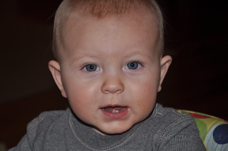 William's Fortieth Week 21.jpg